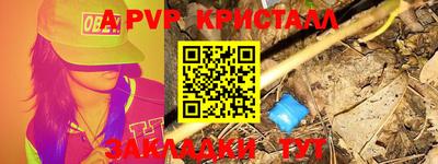 кокс Донской