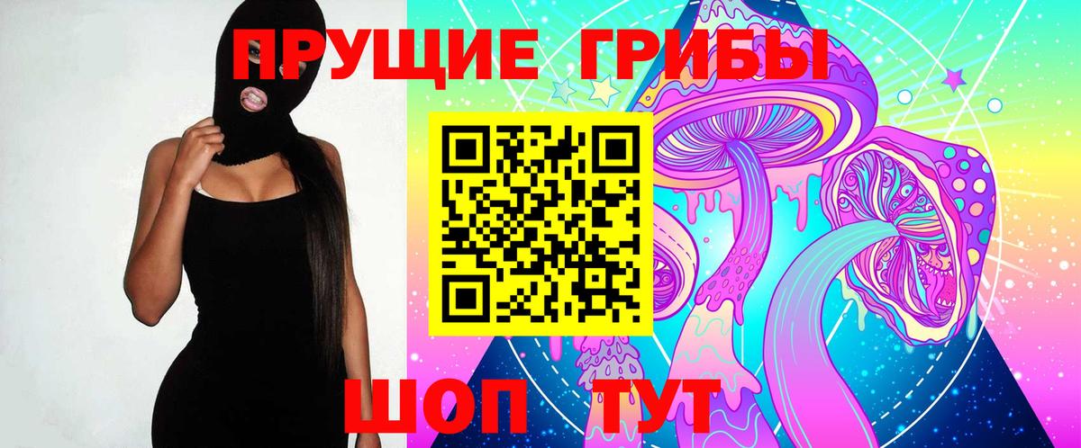 Галлюциногенные грибы прущие грибы  Вход с VPN  Дятьково  Галлюциногенные грибы Psilocybe 