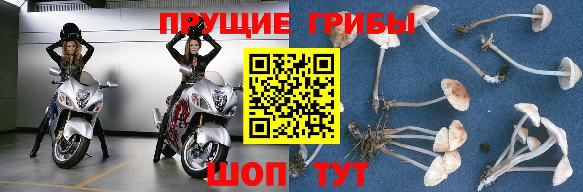Галлюциногенные грибы мухоморы Дятьково